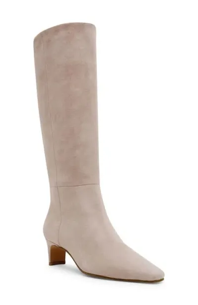 Steve Madden Dagne Knee High Boot In Taupe Suede