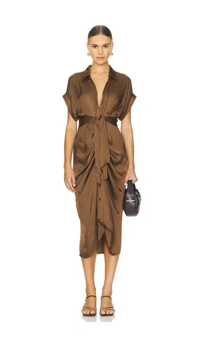 Steve Madden Tori Dress In Cocoa