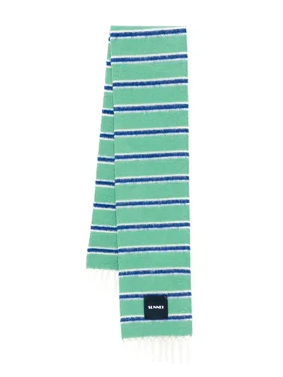 Sunnei Striped Scarf In Green