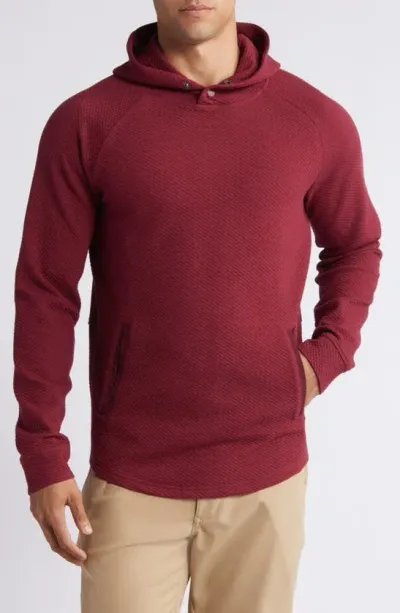 Swannies Camden Hoodie In Maroon