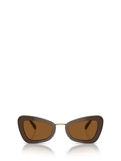 Swarovski Sunglasses In Brown Light Brown