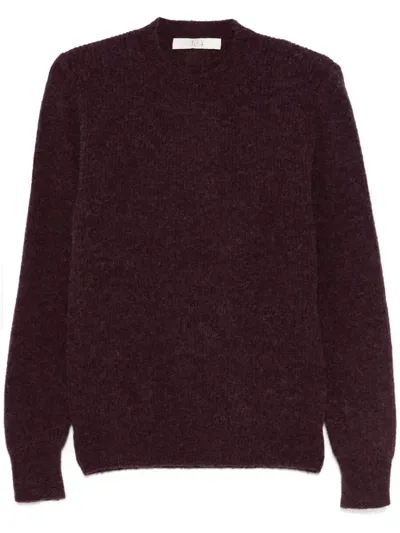 Tela Kloyd Sweater In Purple