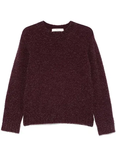 Tela Kloyd Sweater In Purple