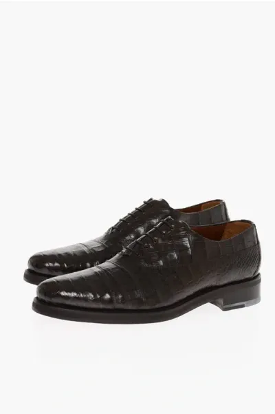 Testoni Crocodile Leather Sport Oxford Shoes In Brown