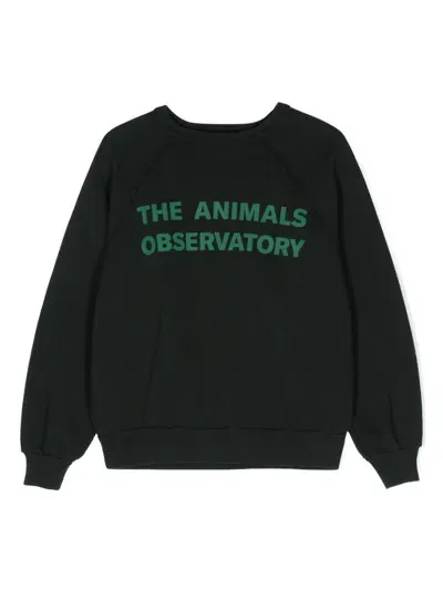 The Animals Observatory Kids' Perseus Cotton Sweatshirt In Green