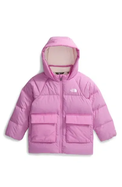 The North Face Unisex Fleece Lined Parka - Little Kid In Dragonfruit