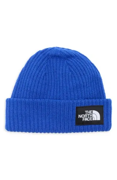 The North Face Kids' Salty Dog Beanie In Blue