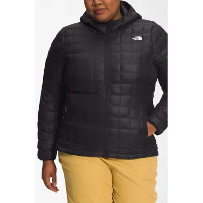 The North Face Thermoball™ Eco 2.0 Quilted Water Repellent Hooded Jacket In Tnf Black-npf