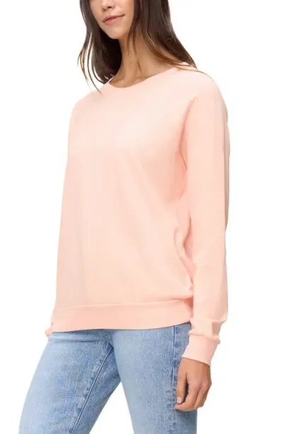 The Standard Stitch The Raglan Sweatshirt In Peach