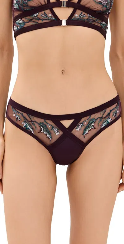 Thistle And Spire Cirsi Bikini Briefs Cordial