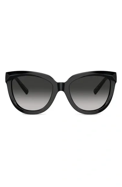 Tiffany & Co 53mm Gradient Cat Eye Sunglasses In Black