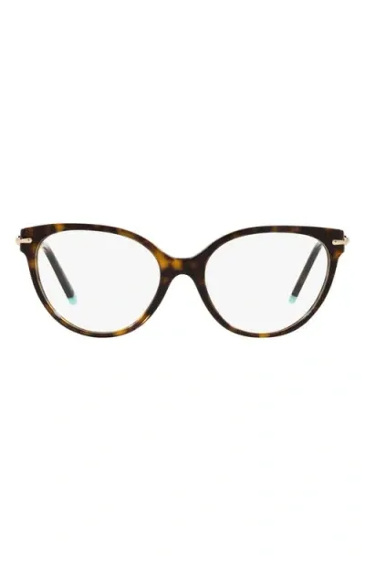 Tiffany & Co . 53mm Cat Eye Optical Glasses In Havana/demo Lens