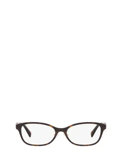 Tiffany & Co . Eyeglasses In Havana On Tiffany Blue