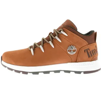 Timberland Sprint Trekker Boots Brown In White