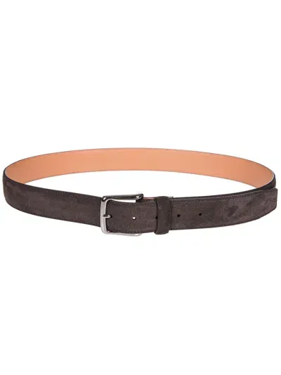 Tod's Belt In Brown