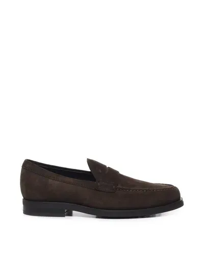 Tod's Brown Suede Loafers In Dark Brown