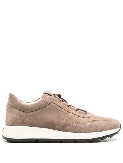 Tod's Suede Sneakers In Brown