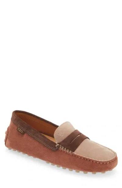 Tod's Colorblock Penny Loafer In Cotto Chiaro