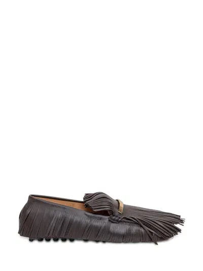 Tod's Yorky Loafer In Brown