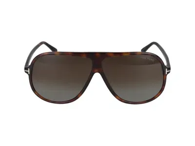 Tom Ford Sunglasses In Havana/green Grad