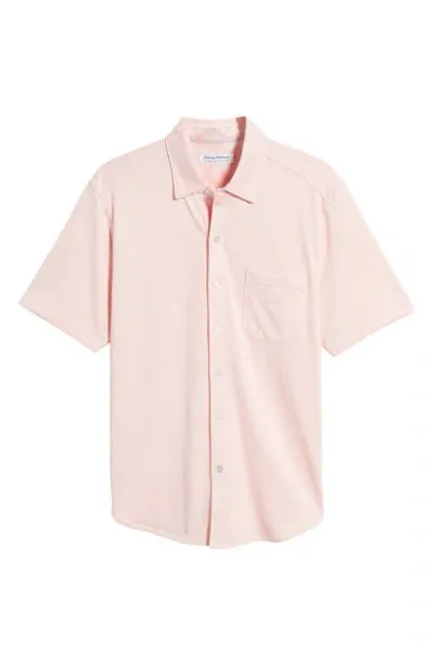 Tommy Bahama San Lucio Islandzone® Short Sleeve Knit Button-up Shirt In Quartz Pink