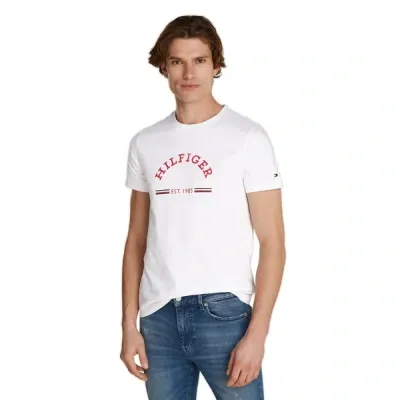 Tommy Hilfiger Rwb Arch Gs Mens T-shirt In White