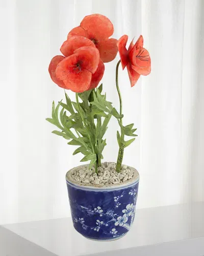 Tommy Mitchell Poppy August Birth Flower In Ceramic Pot In Coral Red