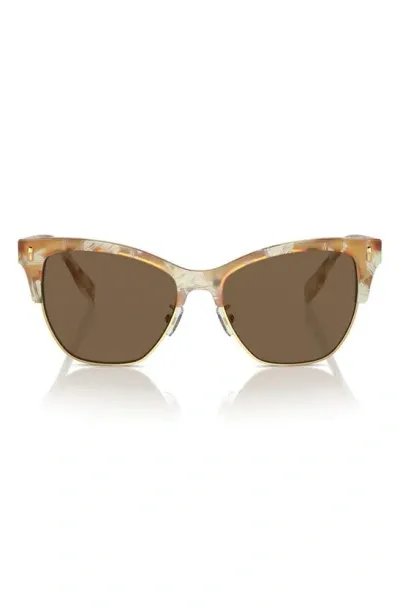 Tory Burch T-monogram Acetate & Plastic Cat-eye Sunglasses In Dark Brown