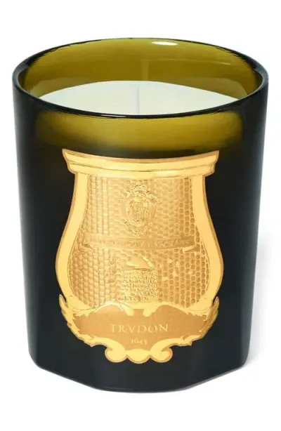 Trudon Madeleine Floral Leather Classic Candle In Green