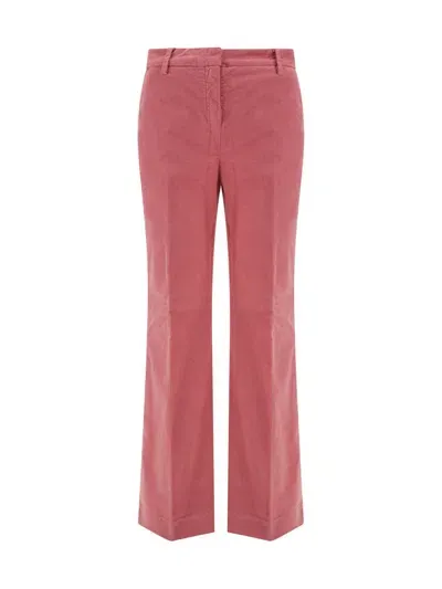 True Royal Sandy Pants In Pink