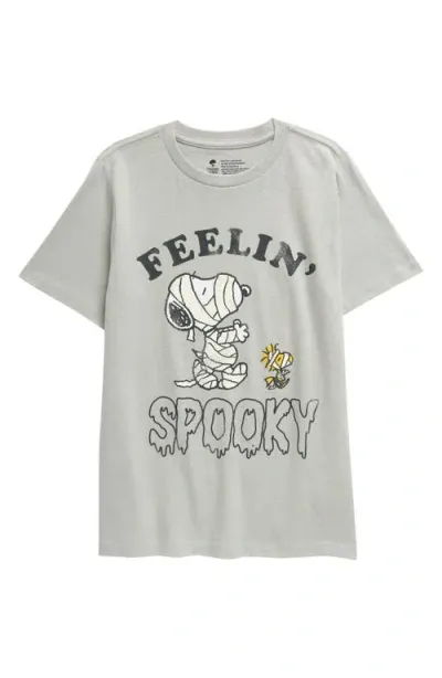 Tucker + Tate Kids' Cotton Graphic T-shirt In Grey Mirage Snoopy