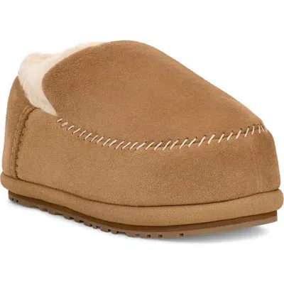 Ugg(r) Anders Wool Slipper In Chestnut