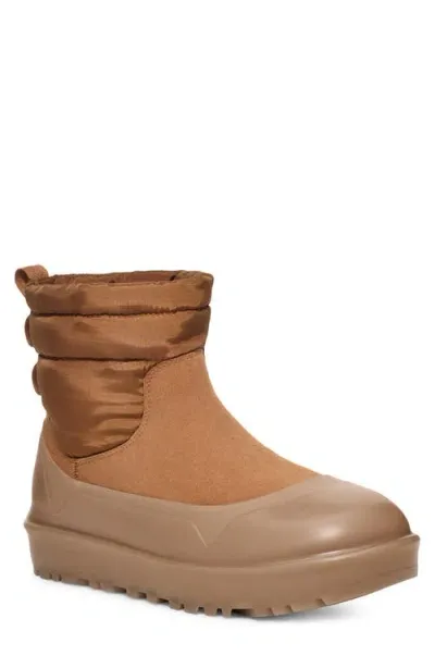 Ugg(r) Classic Minimod Waterproof Wool Boot In Chestnut