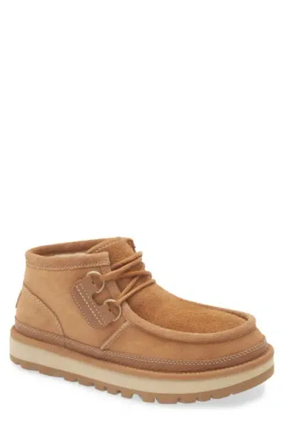 Ugg(r) Hayden Chukka Boot In Chestnut