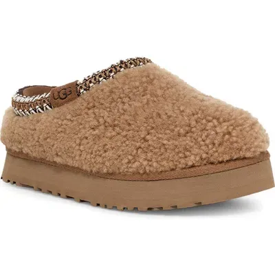 Ugg(r) Kids'  Tazz Maxi Curly Genuine Shearling Slipper In Chestnut