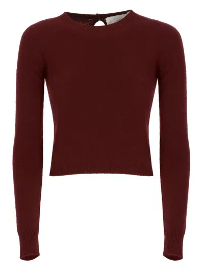 Vanisé Vanise Bordeaux Vanisè Cashmere Sweater In Burgundy