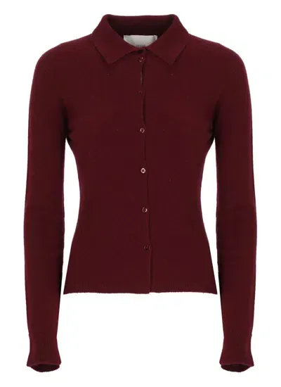 Vanisé Vanise' Sweaters Bordeaux In Red