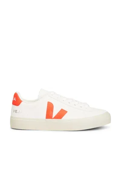 Veja Campo Sneakers In Extra-white_fury