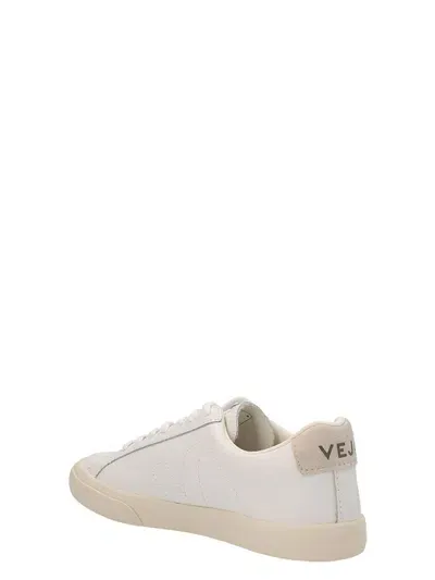 Veja Sneakers In White