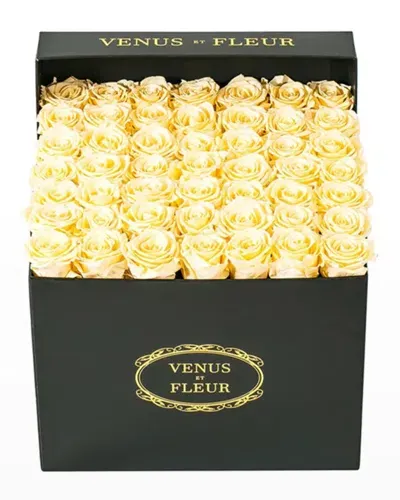 Venus Et Fleur Classic Large Square Rose Box In Champagne