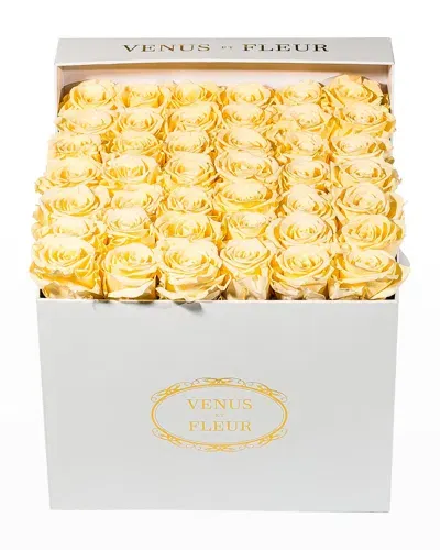 Venus Et Fleur Classic Large Square Rose Box In Champagne