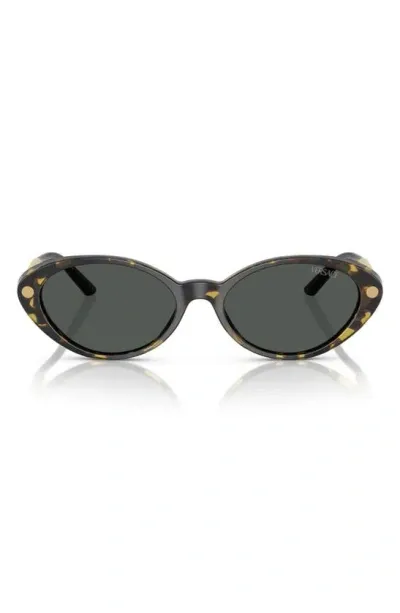 Versace 54mm Oval Sunglasses In Havana