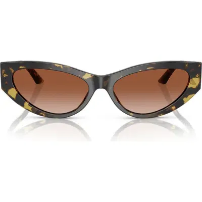 Versace 56mm Cat Eye Sunglasses In Havana