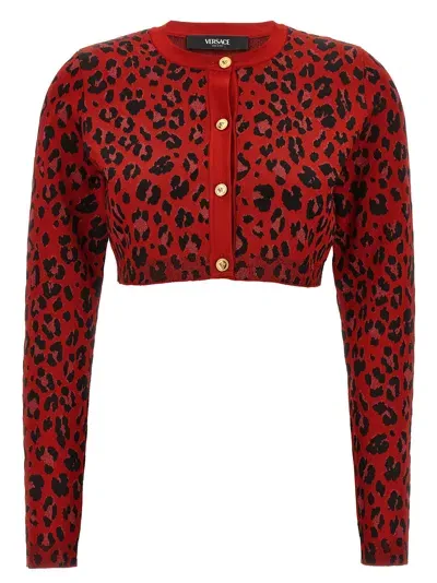 Versace Animal Print Cropped Cardigan In Red