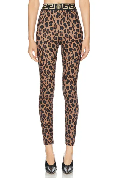 Versace Leopard Leggings In Chestnut & Gold