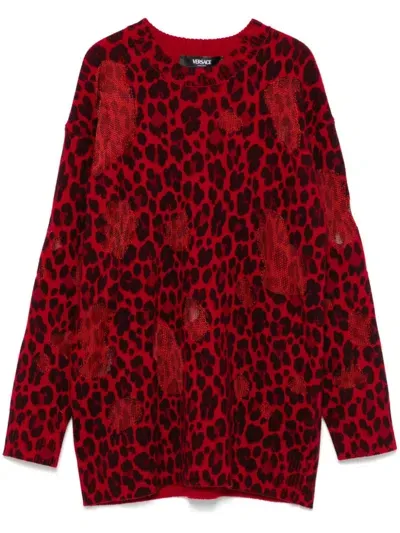 Versace Leopard-print Sweater In Red