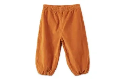 Vild House Of Little Kids'  Organic Cotton Velvet Trousers In Raw Sienna