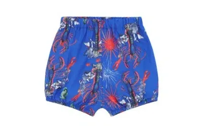 Vild House Of Little Kids'  Vild Lab No.8 In Lobster Print