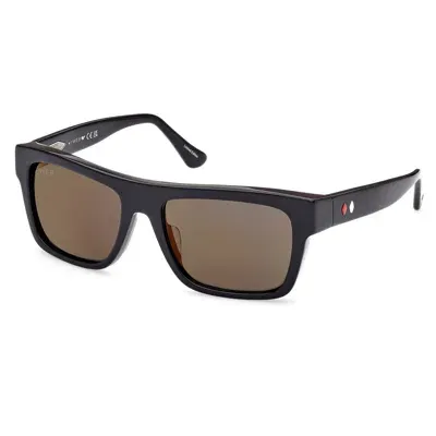 Web Eyewear Sunglasses In Black