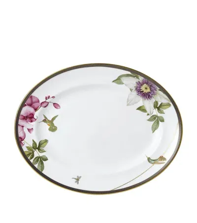 Wedgwood Hummingbird Oval Platter In Multi